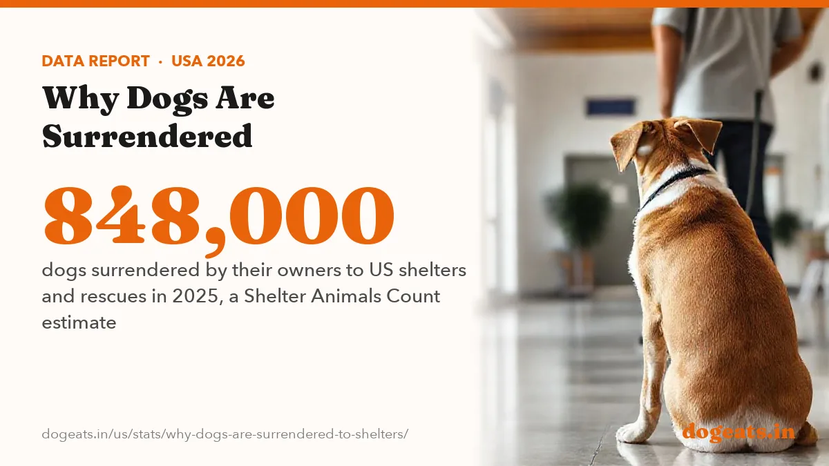848,000 dogs surrendered by their owners to US shelters and rescues in 2025, a Shelter Animals Count estimate