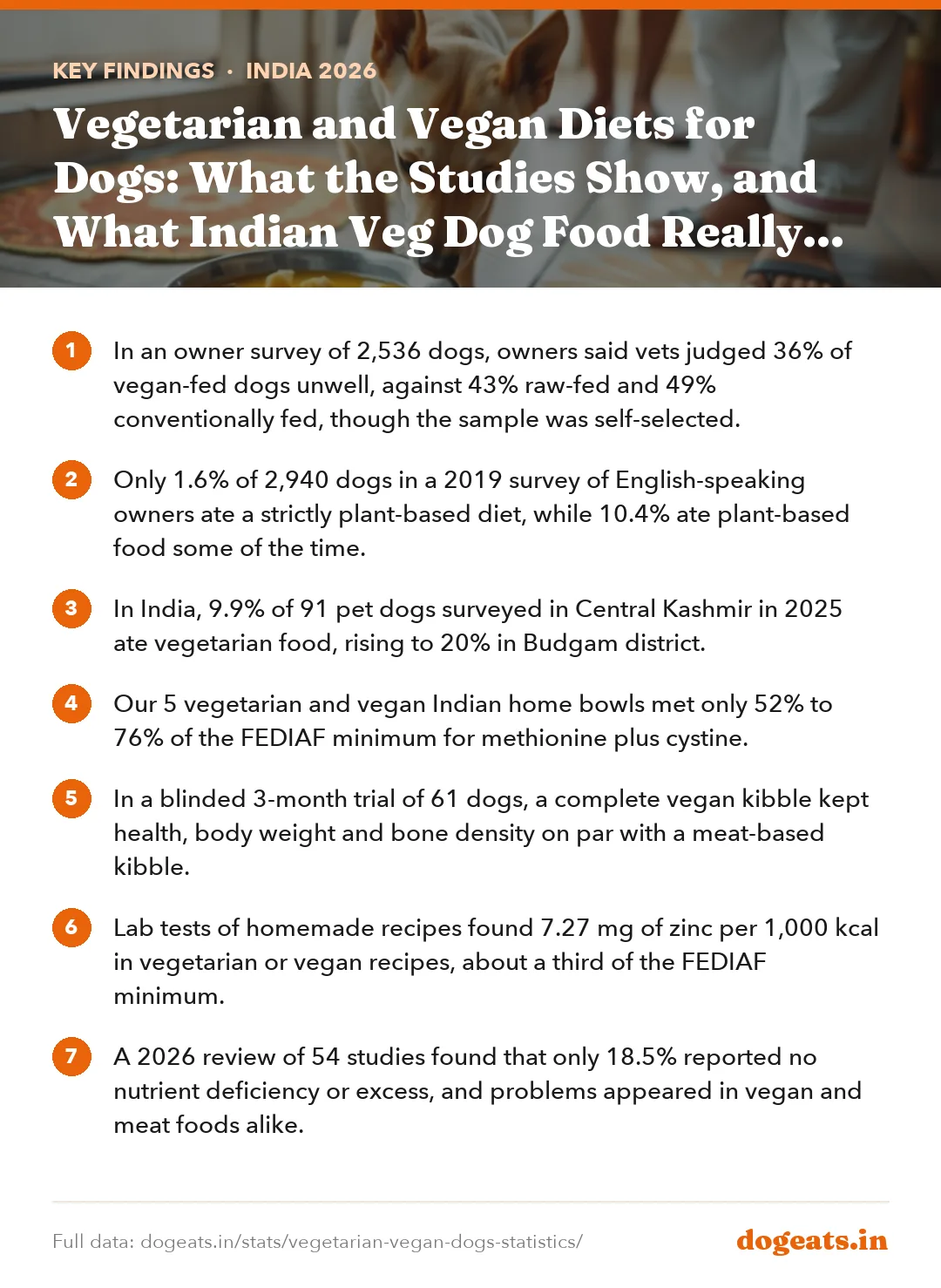 Key findings: Vegetarian and Vegan Diets for Dogs: What the Studies Show, and What Indian Veg Dog Food Really Supplies