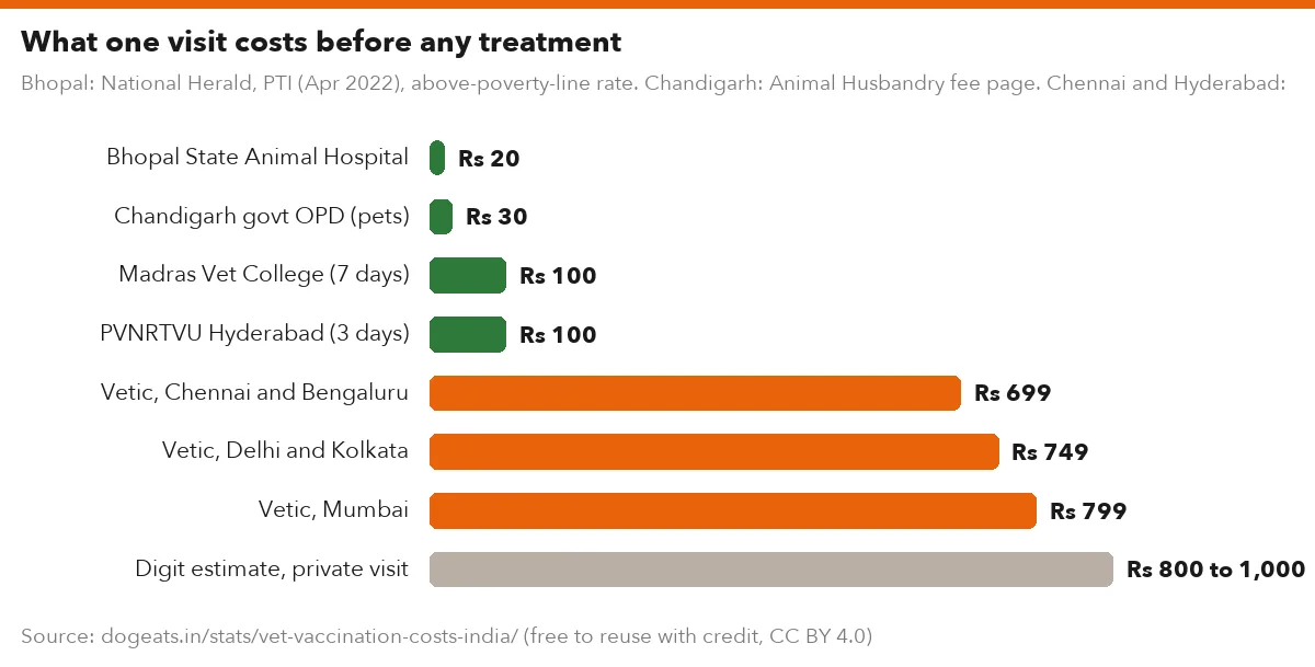 What one visit costs before any treatment