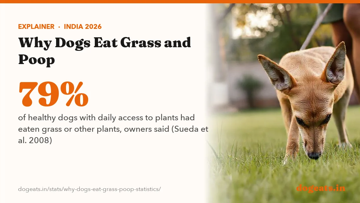 79% of healthy dogs with daily access to plants had eaten grass or other plants, owners said (Sueda et al. 2008)