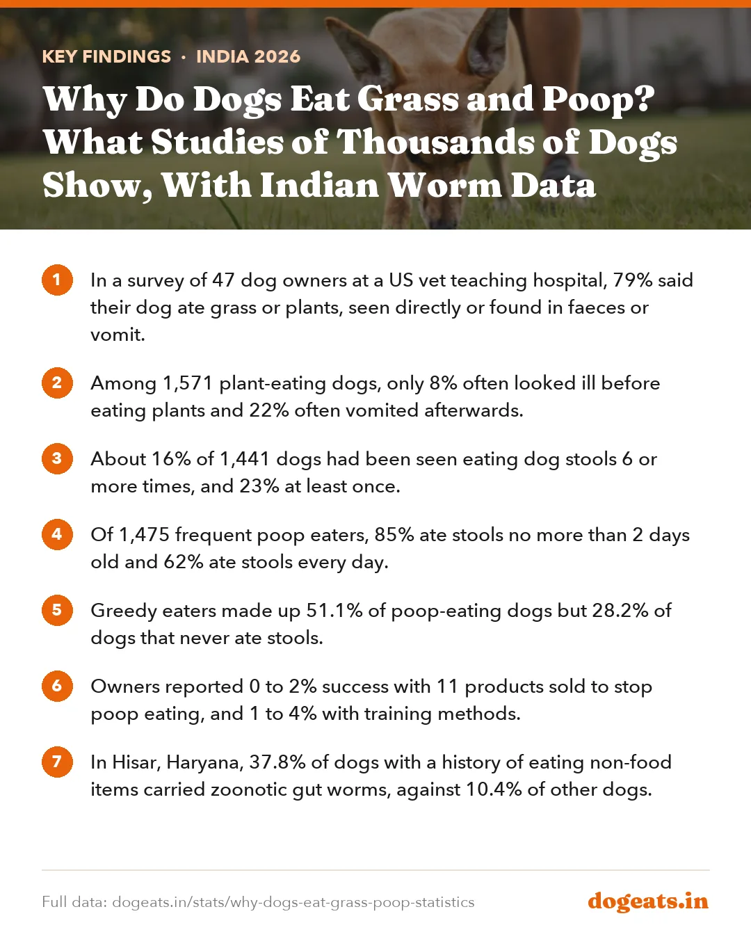 Key findings: Why Do Dogs Eat Grass and Poop? What Studies of Thousands of Dogs Show, With Indian Worm Data